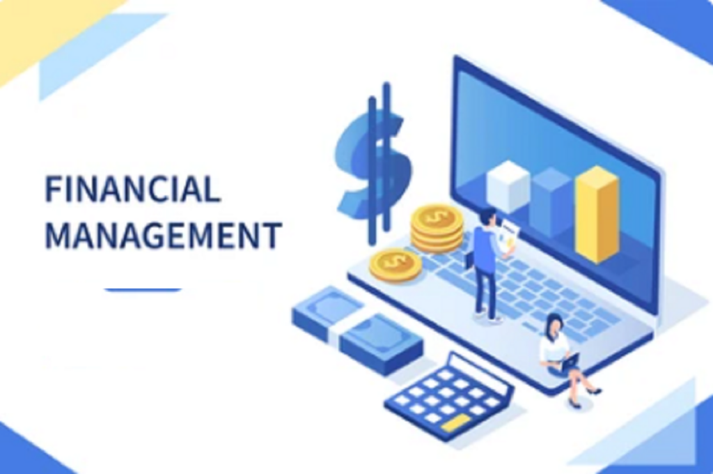 Financial Management - BerényiSoft Kft.