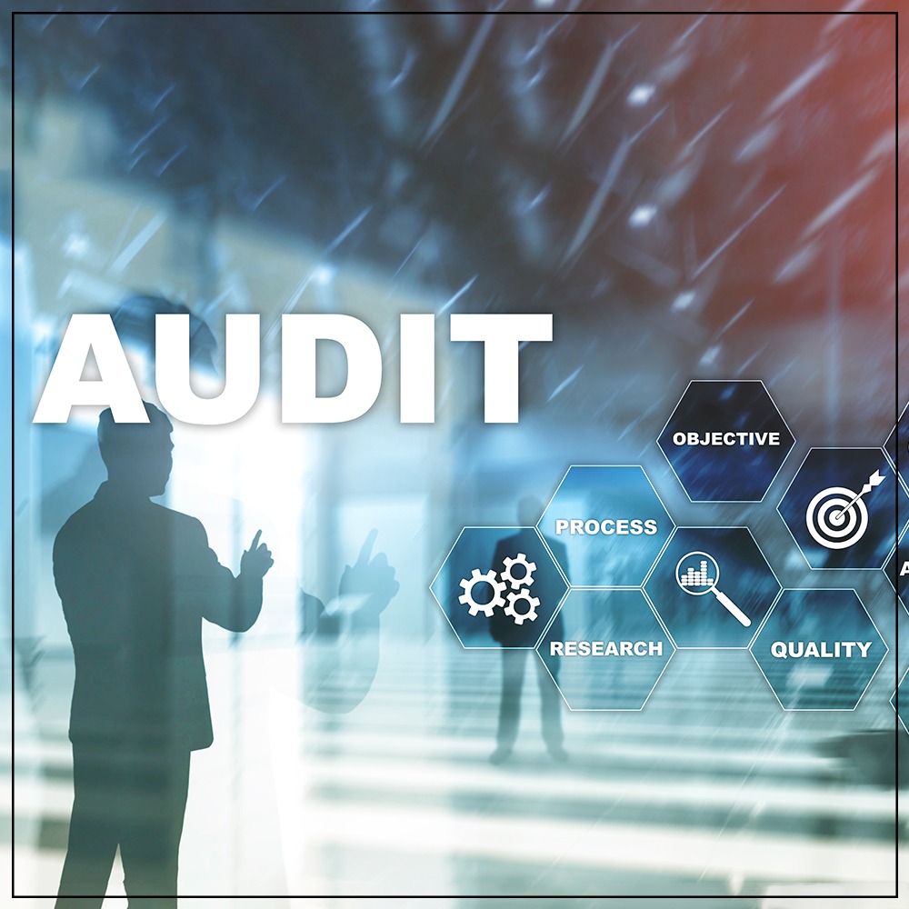 Financial audit