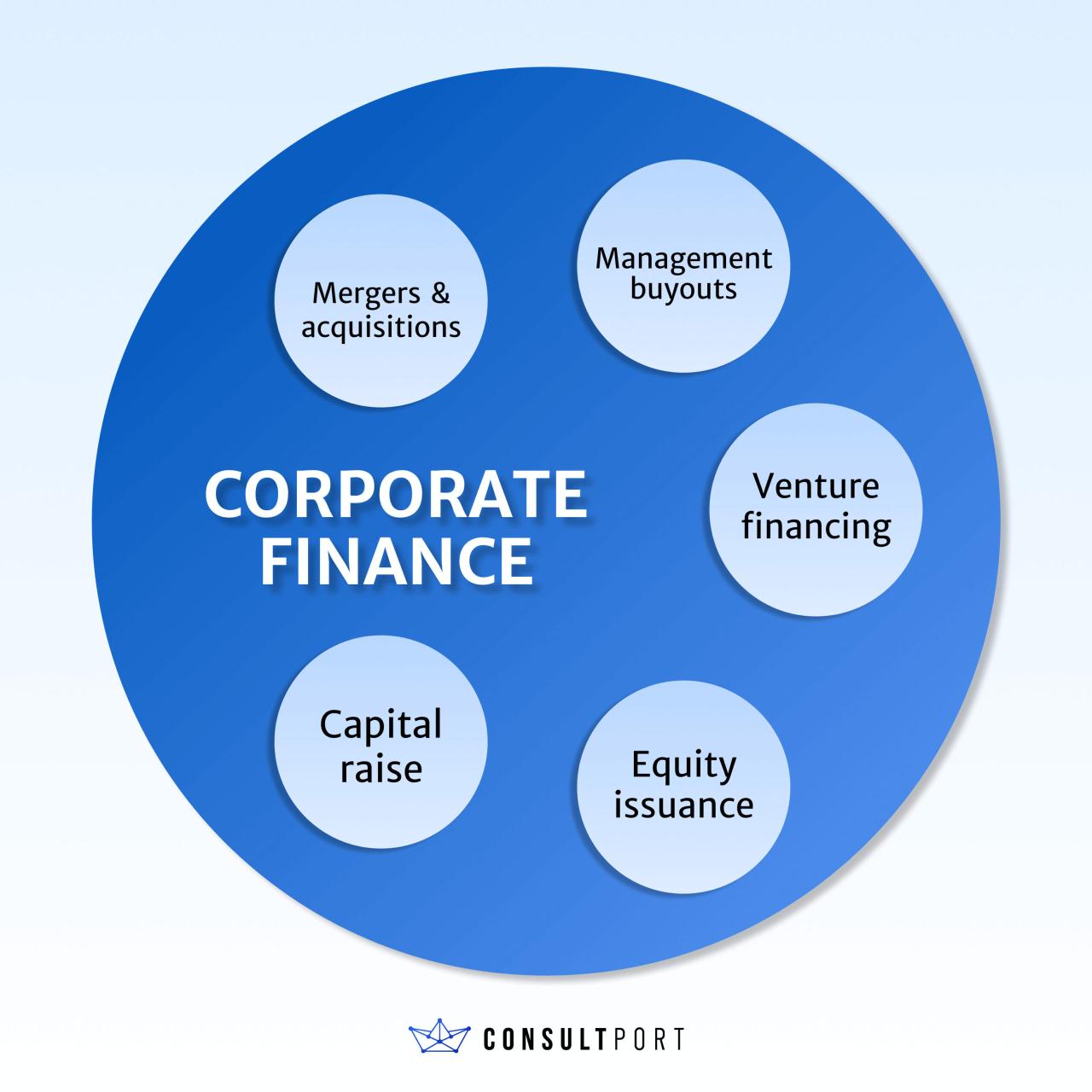 Why CEOs Need Corporate Finance Acumen? | consultport.com Why CEOs Need Corporate Finance Acumen? | consultport.com